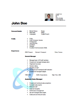 Professional CV Sample