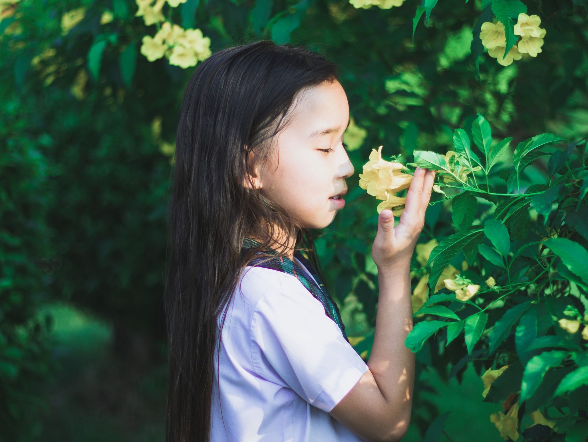 A child appreciating the scent of blooming yellow flowers in a lush garden setting. Outdoor experience.